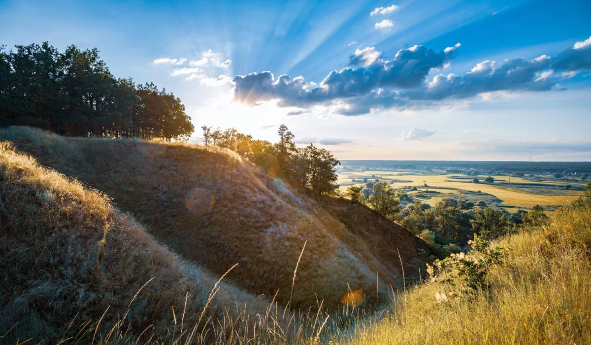 Czy obliczyć ślad węglowy w firmie można tanio?