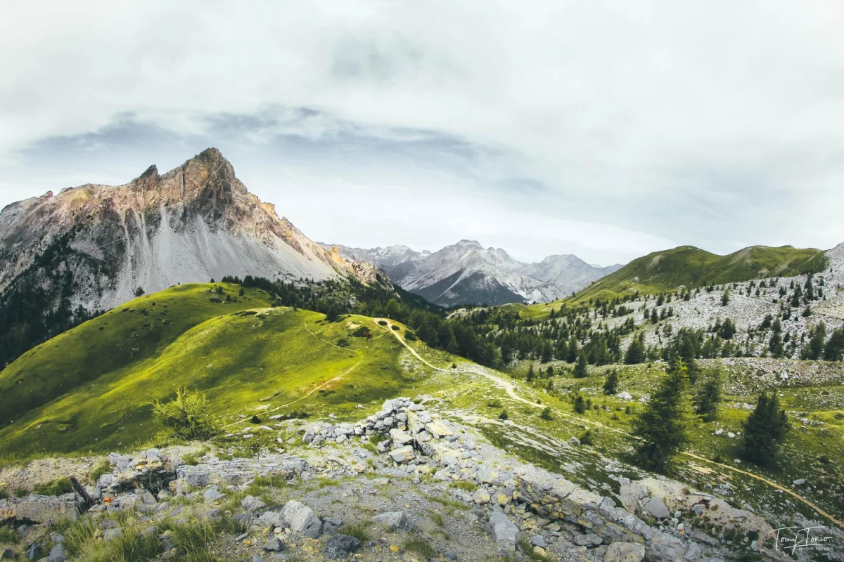 Czy złożyć sprawozdanie BDO jest trudno?