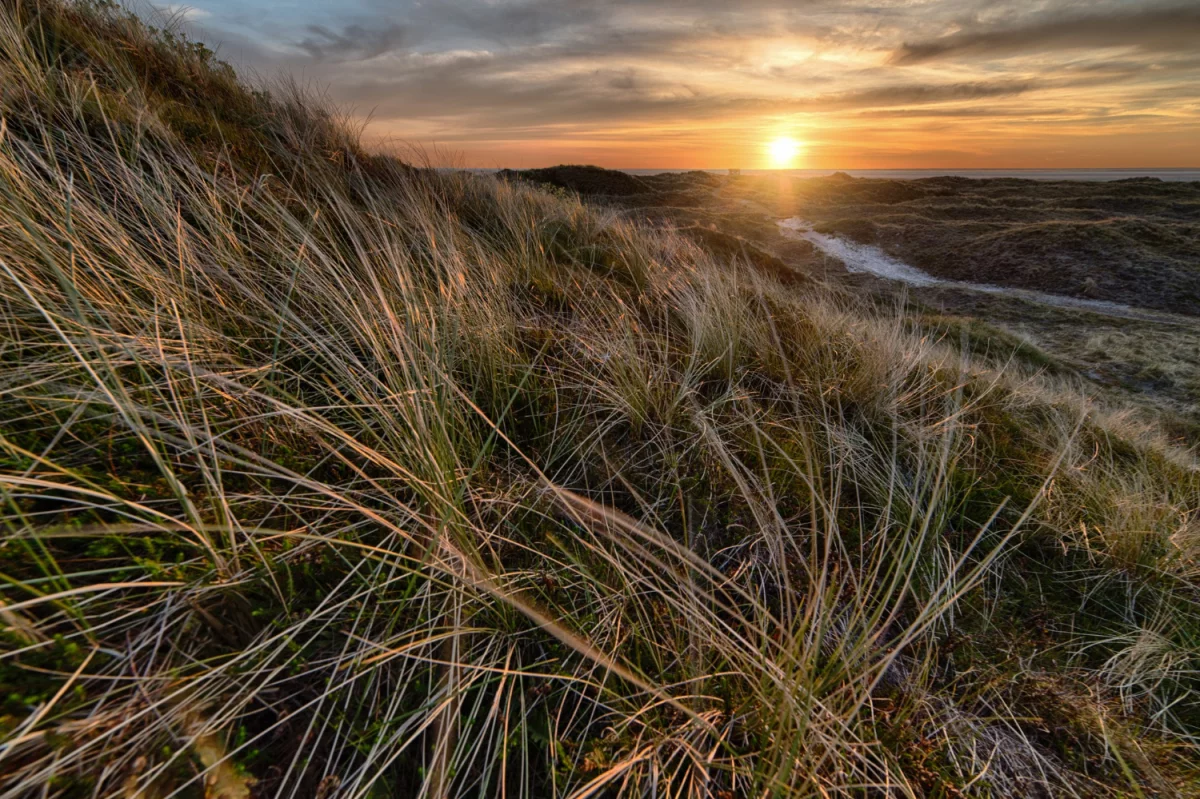 Katering dietetyczny w 2026: jak wybrać firmę (makro, kalorie, alergeny), czy dowożą na czas i jak wygląda jadłospis—praktyczny przewodnik + checklista do zamówienia.