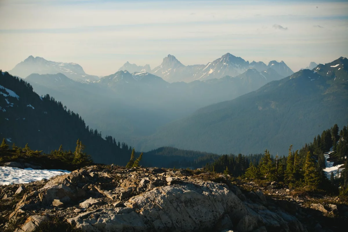Top 10 dietetycznych cateringu: ceny, dowóz, kaloryczność i skład—jak wybrać najlepszy catering dopasowany do celu (redukcja/masa/fit) i alergii. Ranking 2026.