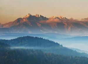Ale jak kupić elektronikę do domu?