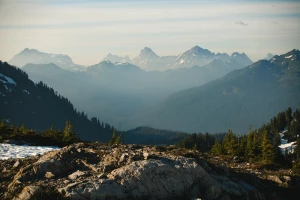 Katering dietetyczny: jak dobrać dietę do celów, kaloryczności i alergii? Poradnik krok po kroku + lista pytań do cateringu, by uniknąć nietrafionego wyboru